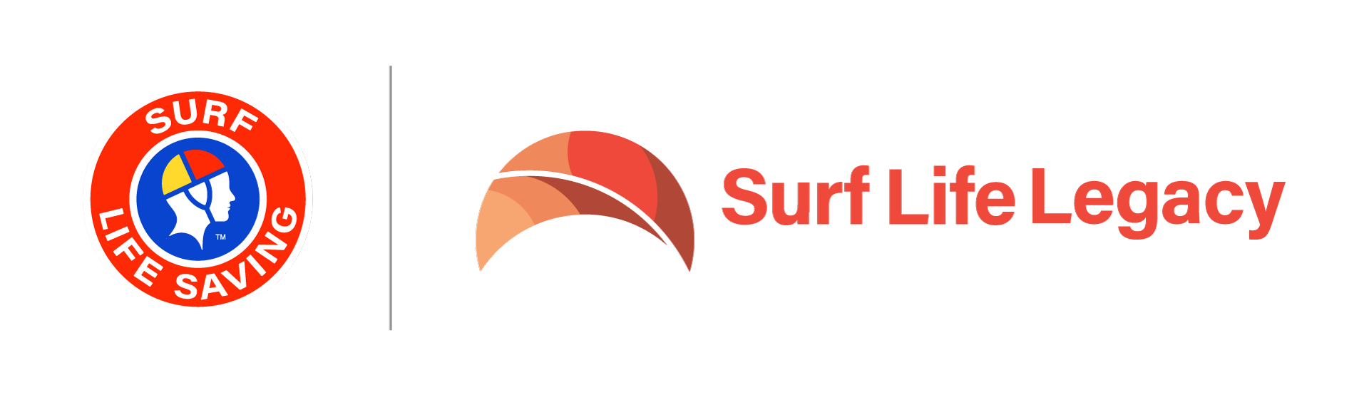 description of the image