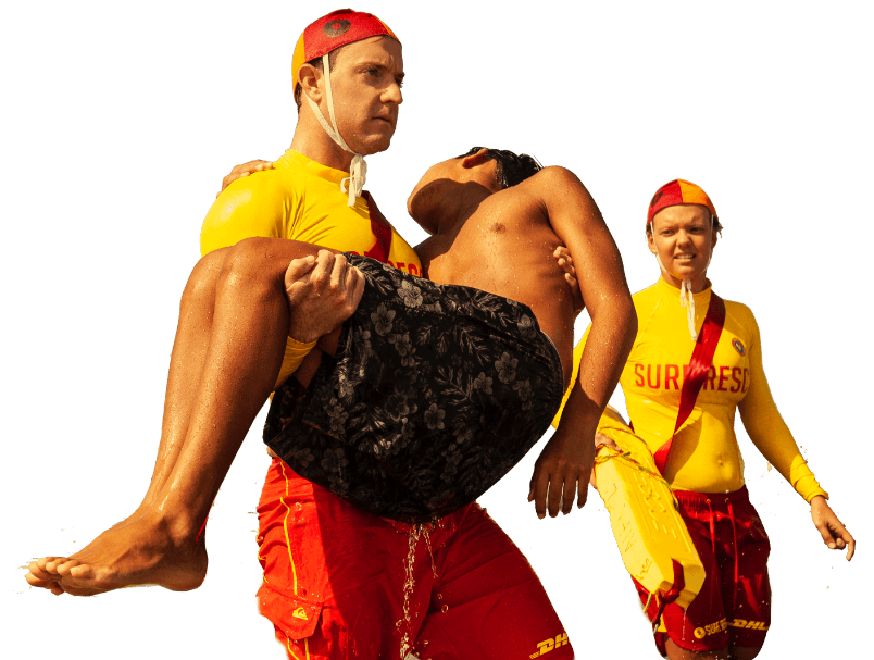 description of the image